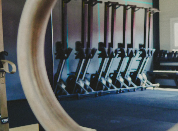 rower